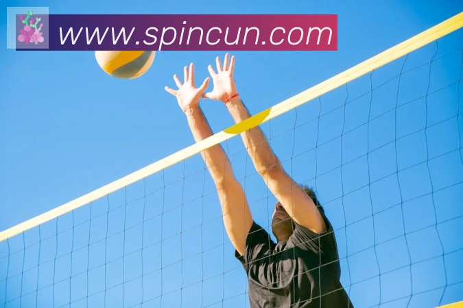 乐鱼网页版在线登录平台生态图