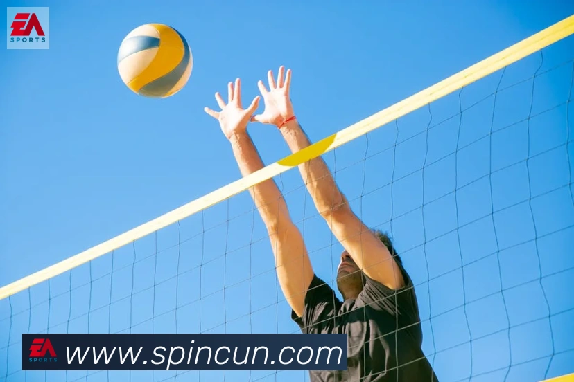 乐鱼网页版在线登录品牌故事