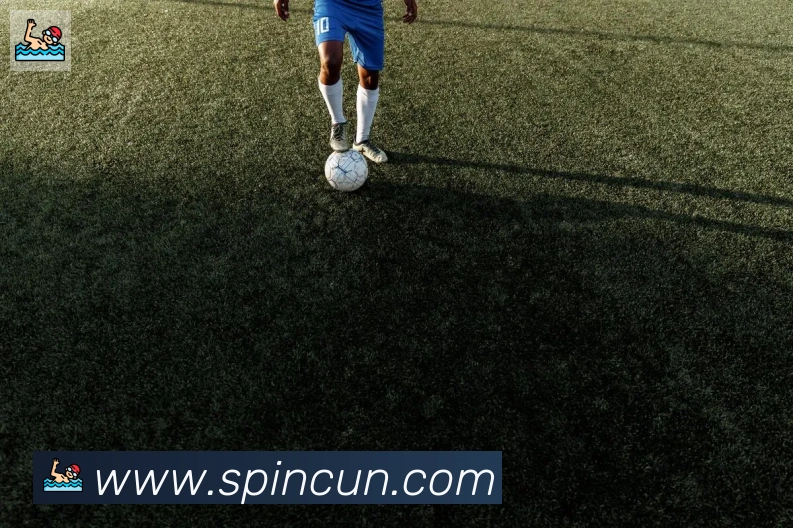 乐鱼网页版在线登录服务体系