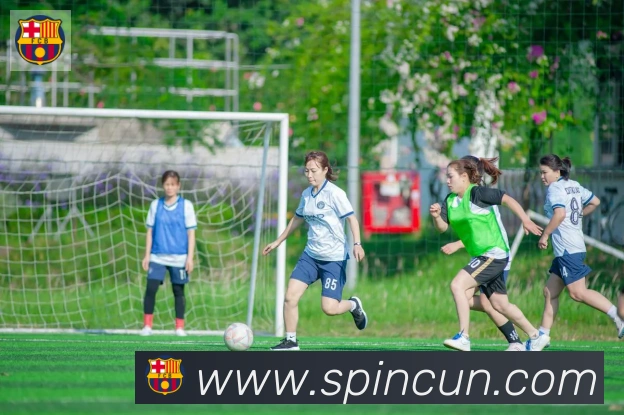 乐鱼网页版在线登录荣誉