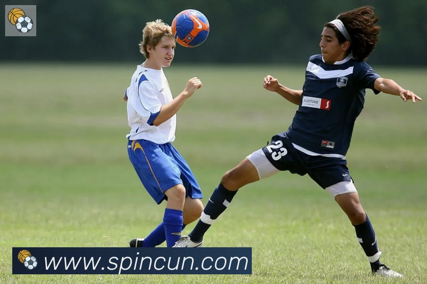 乐鱼网页版在线登录荣誉